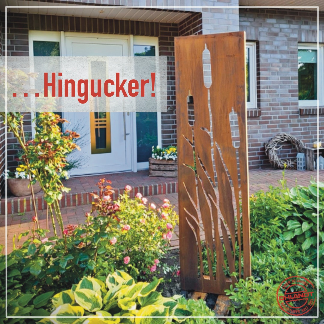 Beitrag